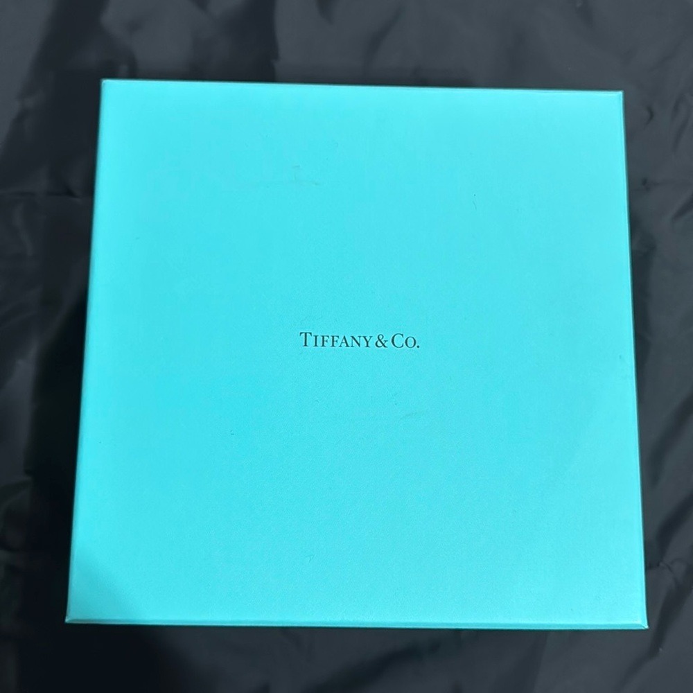 Tiffany & Co. Turquoise Gift Box
